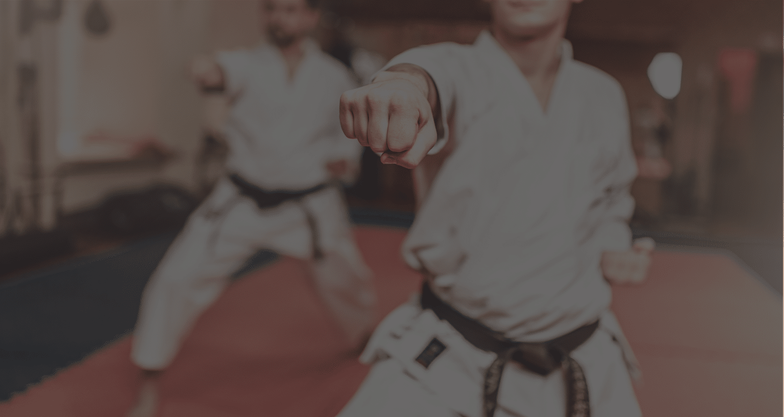 Phoenix martial arts - Banner image 1