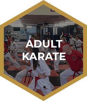 Adult Karate Program - Phoenix