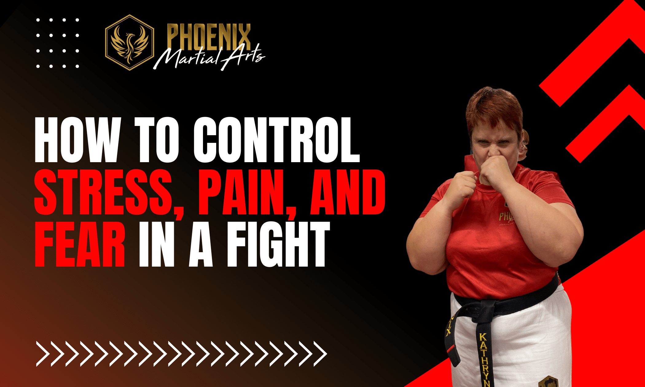 Control Stress and Fear in a Fight