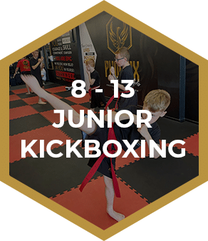 8-13 Junior Kickboxing