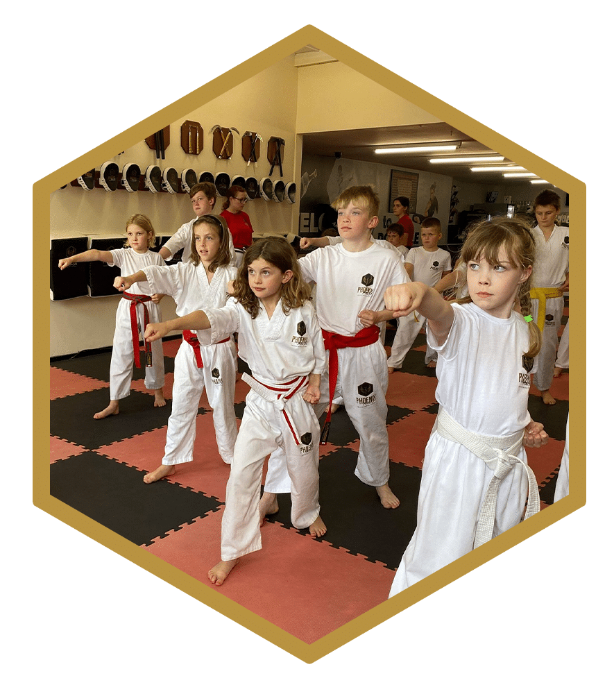 7-13 Junior karate Program in Phoenix