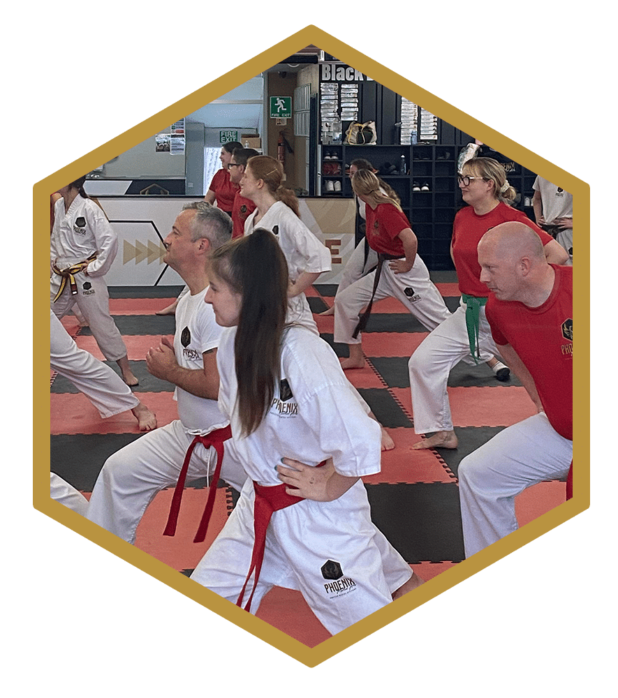 Adult Karate classes