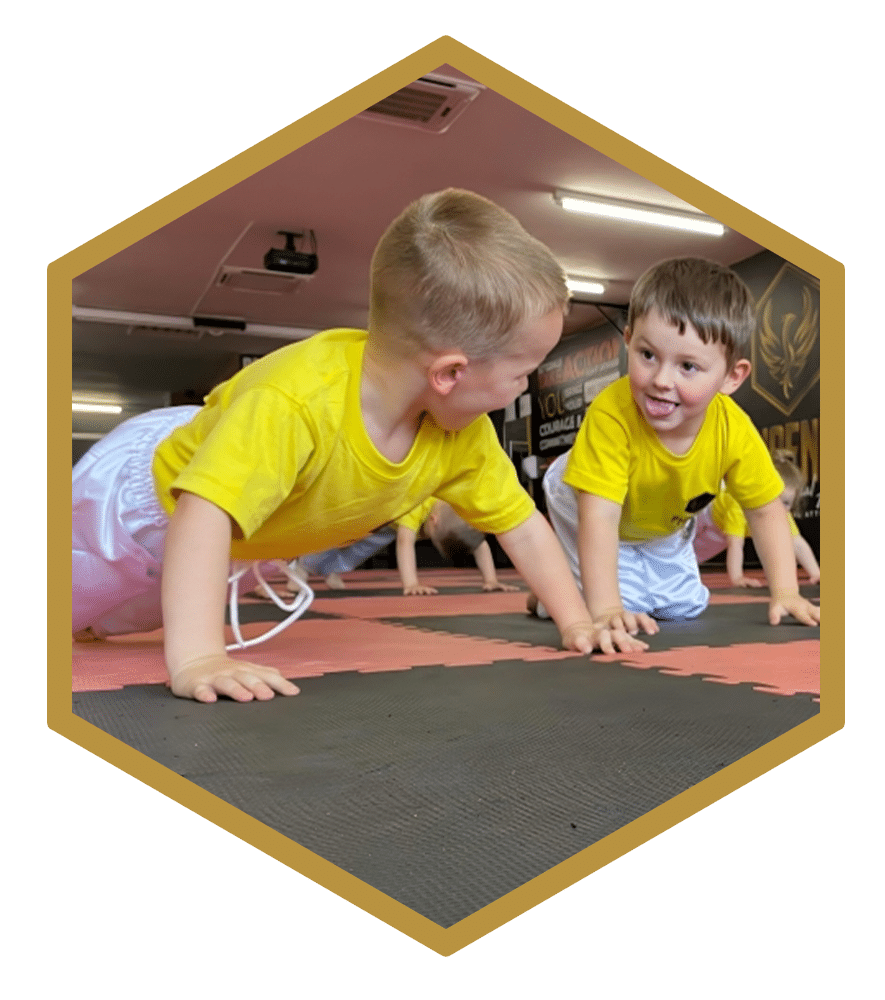 Ninja Tykes program