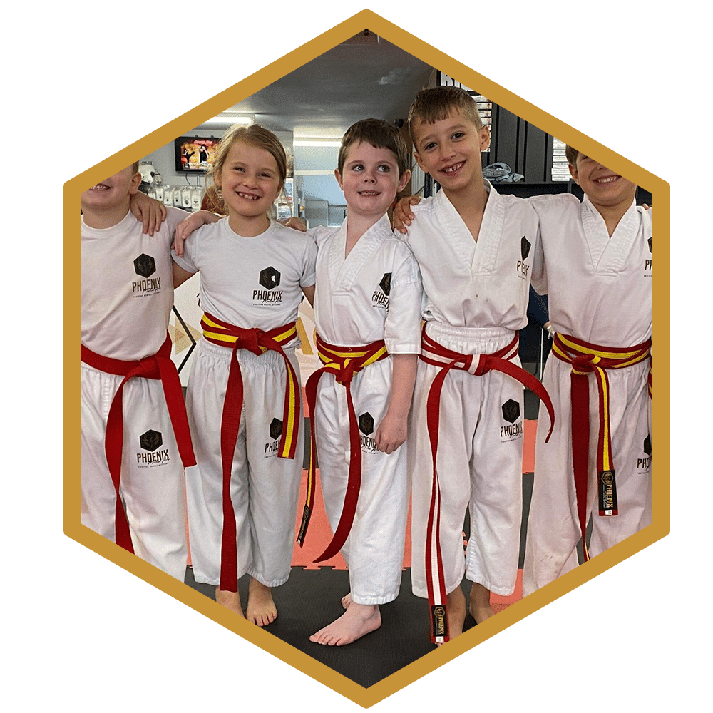 Junior karate lessons 7-13