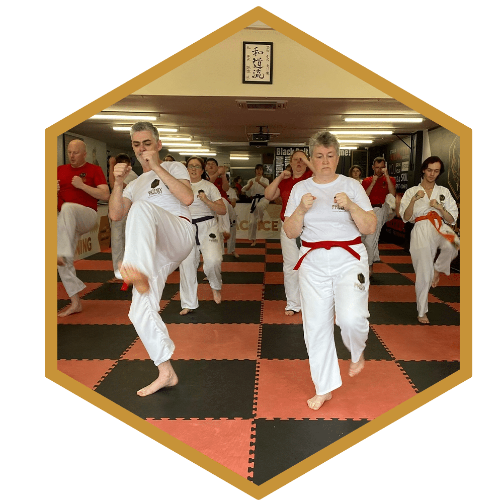 Adult Karate 1 Students in karate uniforms