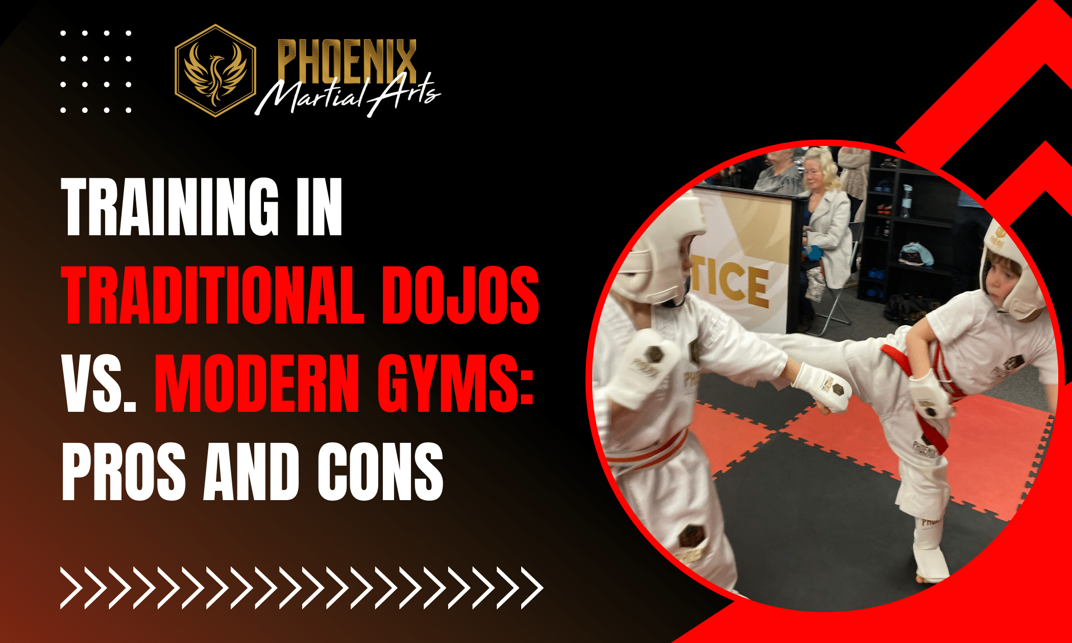 Traditional Dojos vs Modern Gyms